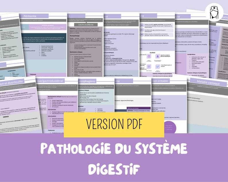 PDF Fiches d'étude du système digestif soins infirmiers, étude infirmière, sciences infirmières, ifsi, guide d'étude image 1