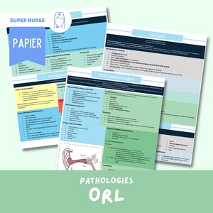 Könnte beinhalten: Ein farbenfrohes Infografik-Poster mit dem Titel "Pathologien HNO" und Illustrationen von Ohr, Nase und Rachen. Das Poster enthält Informationen zu verschiedenen Erkrankungen von Ohr, Nase und Rachen, wie z. B. Laryngitis, Mittelohrentzündung und Mandelentzündung.