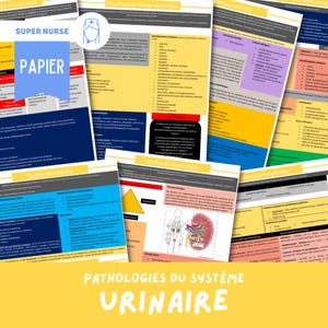 Urinary System Study Sheets | nursing, nursing study, nursing science, ifsi, study guide, nursing assistant