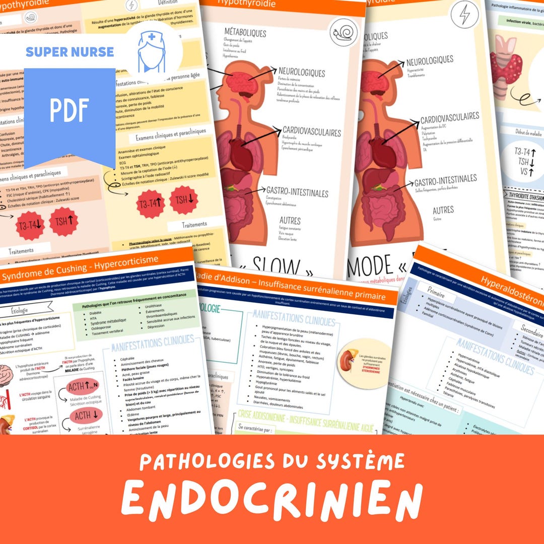 Encodrine System Study Sheet PDF Endocrine System Study Sheet | Nursing, Nursing Study, Nursing ...