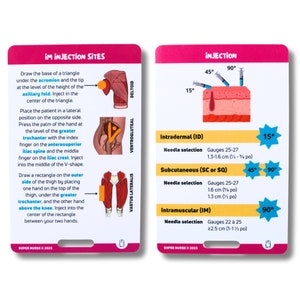 Puede incluir: Una guía ilustrada rosa y blanca sobre los sitios de inyección en el cuerpo humano. La guía muestra los músculos deltoides, ventroglúteo y vasto lateral. La guía también incluye información sobre la selección de agujas y los ángulos de inyección para las inyecciones intradérmicas, subcutáneas e intramusculares.