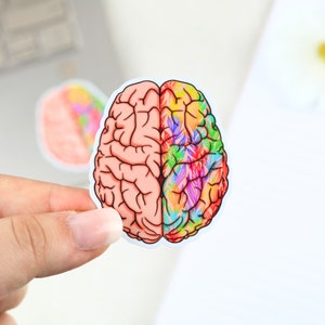 Artistic brain, organ sticker | nursing sticker, medical sticker, nurse gift, nurse, medicine