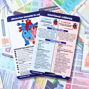 PT Circulação sanguínea do coração e IC Cartões de referência de enfermagem, crachá, cartões de bolso, cartões de cordão, auxiliares de memória