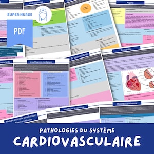 PDF Cardiovascular System Study Sheets | nursing, nursing science, ifsi, study guide, nursing assistant