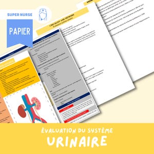 Scheda di studio: Valutazione del sistema urinario | infermieristica, studio infermieristico, scienze infermieristiche, ifsi, guida allo studio