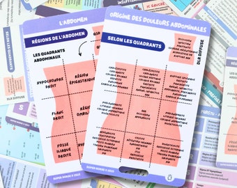 FR Régions de l'abdomen et pathologies Cartes de référence en soins infirmiers, carte badge, cartes de poche, cartes de cordon, aide mémoire