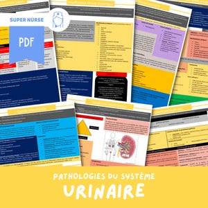 May include: A colorful infographic titled "Pathologies du Système Urinaire" with illustrations of the urinary system and text in French about kidney diseases.