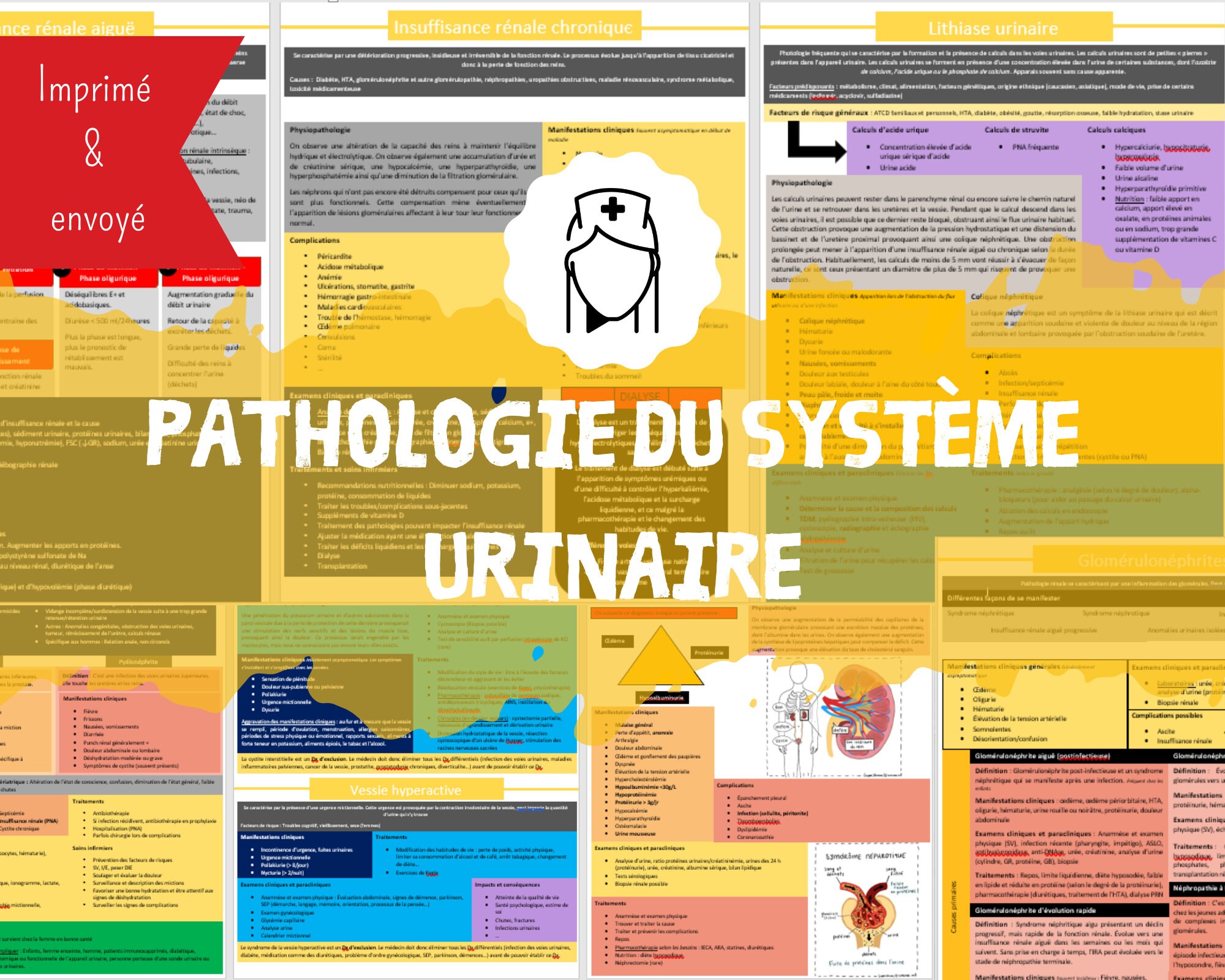 Urinary system study sheets