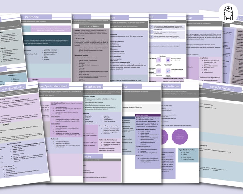 PDF Fiches d'étude du système digestif soins infirmiers, étude infirmière, sciences infirmières, ifsi, guide d'étude image 2