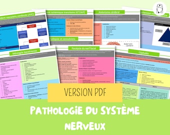 PDF Nervous System Study Sheets | nursing, nursing study, nursing science, ifsi, study guide, practical nurse