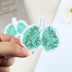 Bronchi sticker | nursing sticker, medical sticker, nurse gift, nurse sticker, medicine, lung