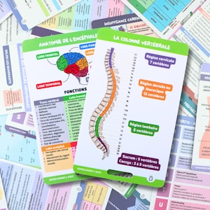 FR Anatomie encéphale, colonne vertébrale cartes référence en soins infirmiers, carte badge, cartes de poche, cartes de cordon, aide mémoire