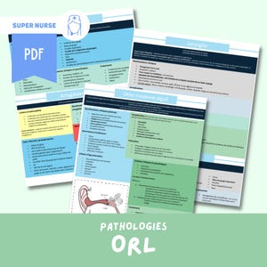 PDF ENT Study Sheet | Nursing, Nursing Study, Nursing Science, Ifsi, Study Guide, Nursing Assistant