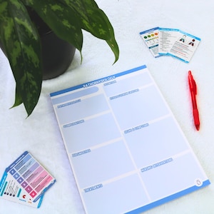 Peut inclure: Un guide d'étude de pathophysiologie bleu clair et blanc avec un stylo rouge et des fiches. Le guide d'étude comporte des sections étiquetées pour les définitions, l'étiologie, les complications, les signes, les diagnostics, les traitements et les interventions infirmières.