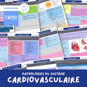 Fogli di studio sul sistema cardiovascolare | infermieristica, infermiera, scienze infermieristiche, ifsi, guida allo studio, infermiera pratica