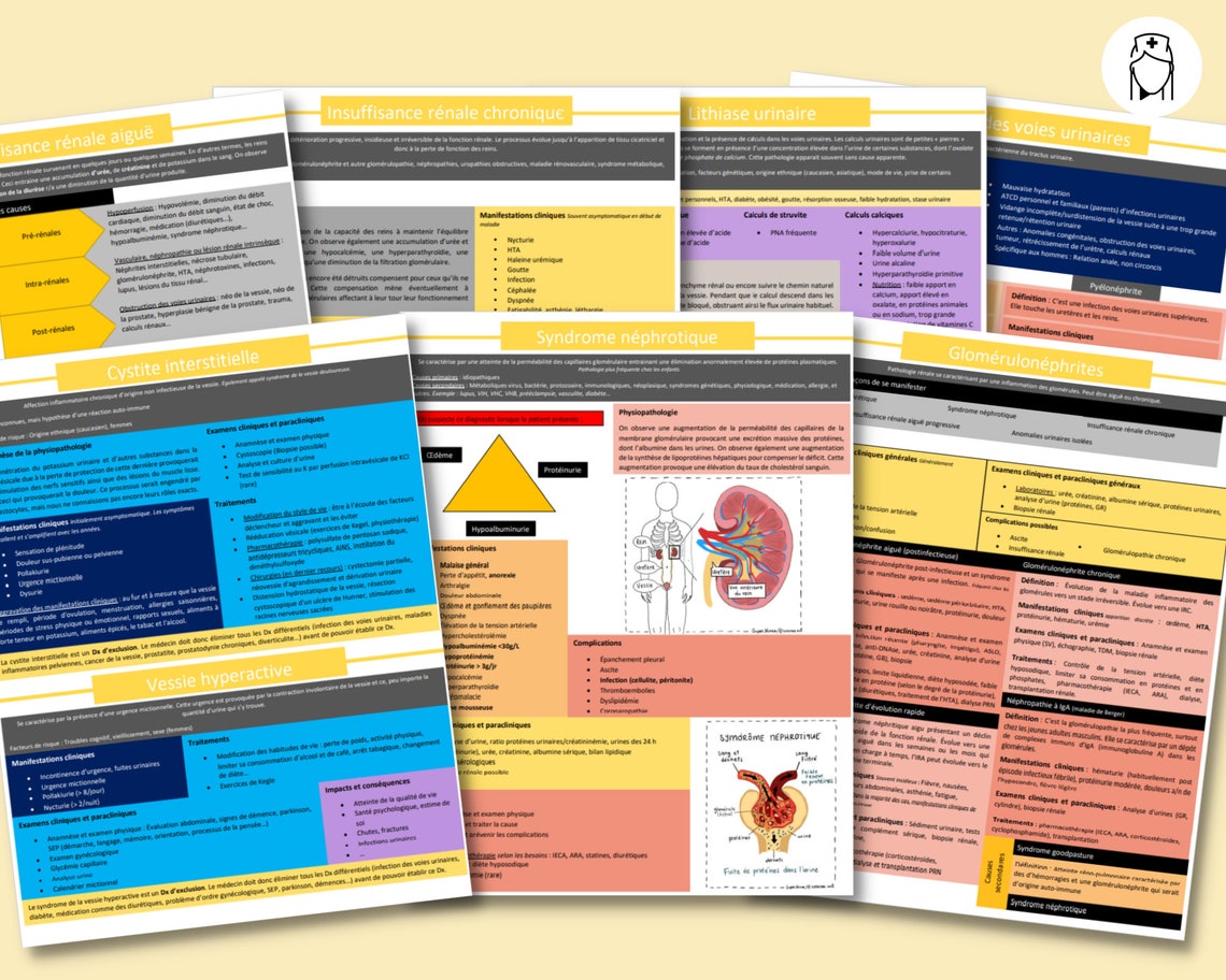 PDF Urinary System Study Sheets | Nursing, Nursing Study, Nursing ...