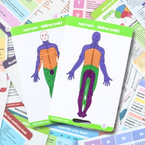 PT Dermatomos, anatomia, cartões de referência de enfermagem, cartões de crachá de enfermagem, cartão de bolso, cartão de cordão, presente de enfermeira, notas de enfermagem