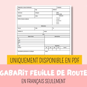 看護師用の PDF ロードマップ テンプレート、レポート シート |看護、看護学、看護学、ifsi