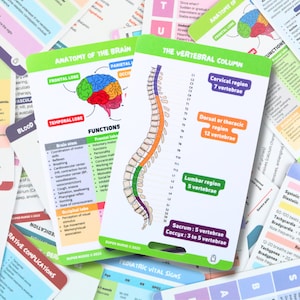 PT Anatomia cerebral, coluna vertebral, cartões de referência de enfermagem, cartões de crachá de enfermagem, cartão de bolso, cartão de cordão, presente de enfermeira, notas de enfermagem