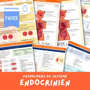 Endocrine System Study Sheet | nursing, nursing study, nursing science, ifsi, study guide, nursing assistant