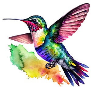 Watercolor Hummingbird PNG and JPG files ClipArt Instant Download for printing Commercial Use 16x16 inch 500 dpi