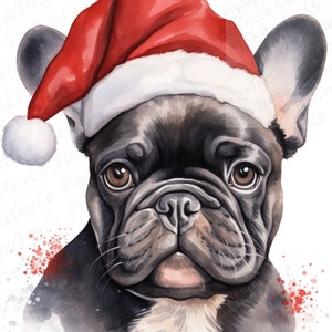 Aquarell süßer Frenchie Hund Weihnachten Clipart PNG JPG Sofortiger Download Wand Kunst druckbare Karte, die Scrapbooking kommerzielle Nutzung macht