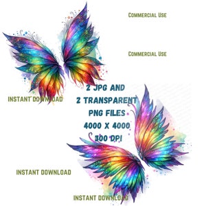 Magical Fairy Wings Clipart, Watercolor Angel Wing Clip Art, Pastel Fantasy Graphics, Magic Rainbow Colors Enchanted Wing 2 PNG 2 JPG Set