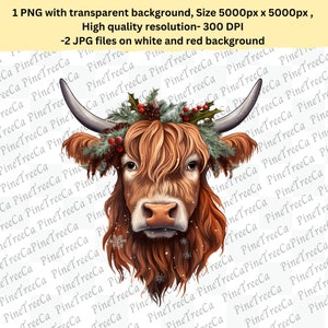 Christmas Cow PNG, Christmas Highland Western Cow Transparent PNG, Christmas Cow JPG two files on white and red background /Highland cow png