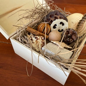 Natural Sensory Bundle in a Plain ‘Decorate Your Own’ Wooden Box - Limited Edition!