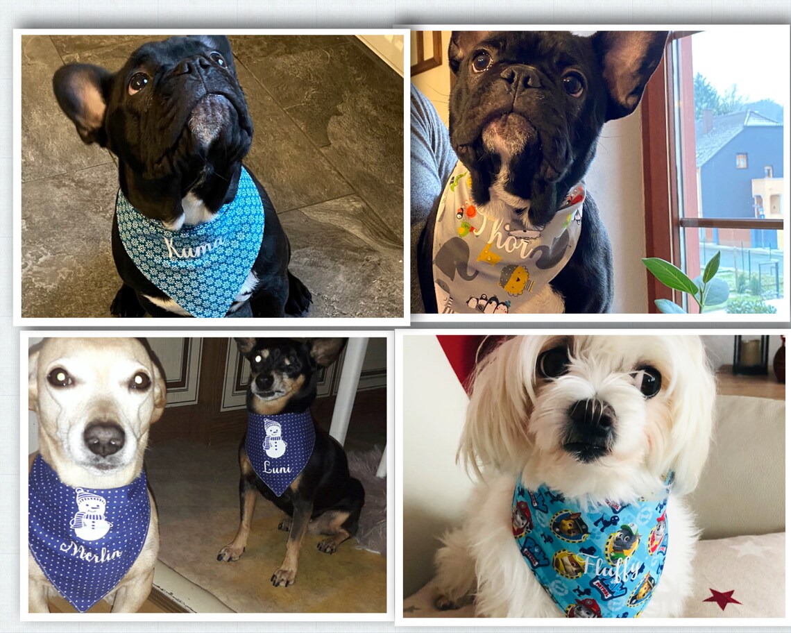 Personalized Scarves for Dogs / Dog Scarf / Dog Bandana / I Etsy