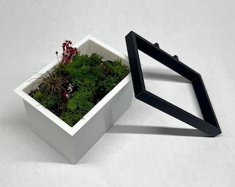 IKEA SKADIS Planter Box | Senac LLC | Accessory Mount Pegboard Plants  Display Stand