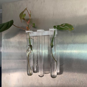 Senac LLC | Fridge Magnet Vial Propogation Planter Decor
