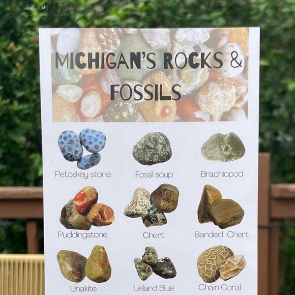 Michigan’s Rocks and Fossil Identification Card / 4x9 Photo of Rocks & Minerals / Rock Collection / Great Lakes Geology Informational Guide