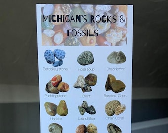Michigans Rocks and Fossil Identification Card / 4x9 Photo of - Etsy