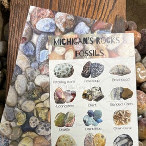 Michigan’s Rocks and Fossil Identification Card / 4x9 Photo of Rocks & Minerals / Rock Collection / Great Lakes Geology Informational Guide