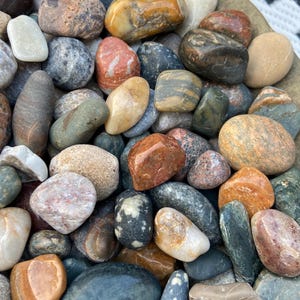 1.5lb Michigan Polished Rocks/ Michigan Tumbled Rocks & Minerals/ Rock Collection/ Bulk Tumbled Stones/ Great Lakes Collectable rock gift
