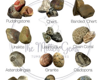 Identifying the Rocks of Lake Michigan (Geode, Septarian, Agate, and More)  - Owlcation