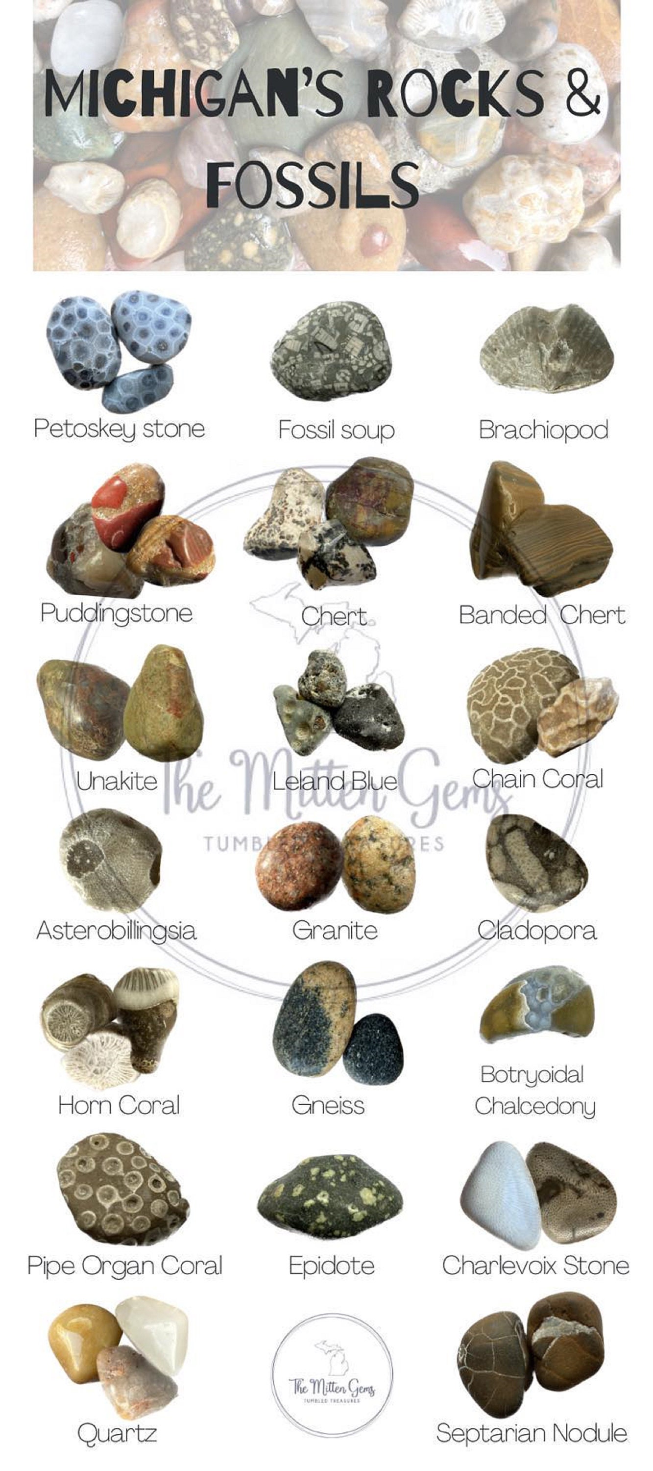 Michigans Rocks and Fossil Identification Card / 4x9 Photo of Rocks
