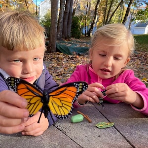 May include: Two children play with a butterfly, caterpillar, and chrysalis toy set. The butterfly is orange and black with white spots. The caterpillar is green and black. The chrysalis is green. The children are sitting at a wooden table.