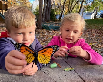 Monarch Life Cycle, caterpillar, chrysalis, butterfly, larva, pupa, educational toy, Easter, transformation