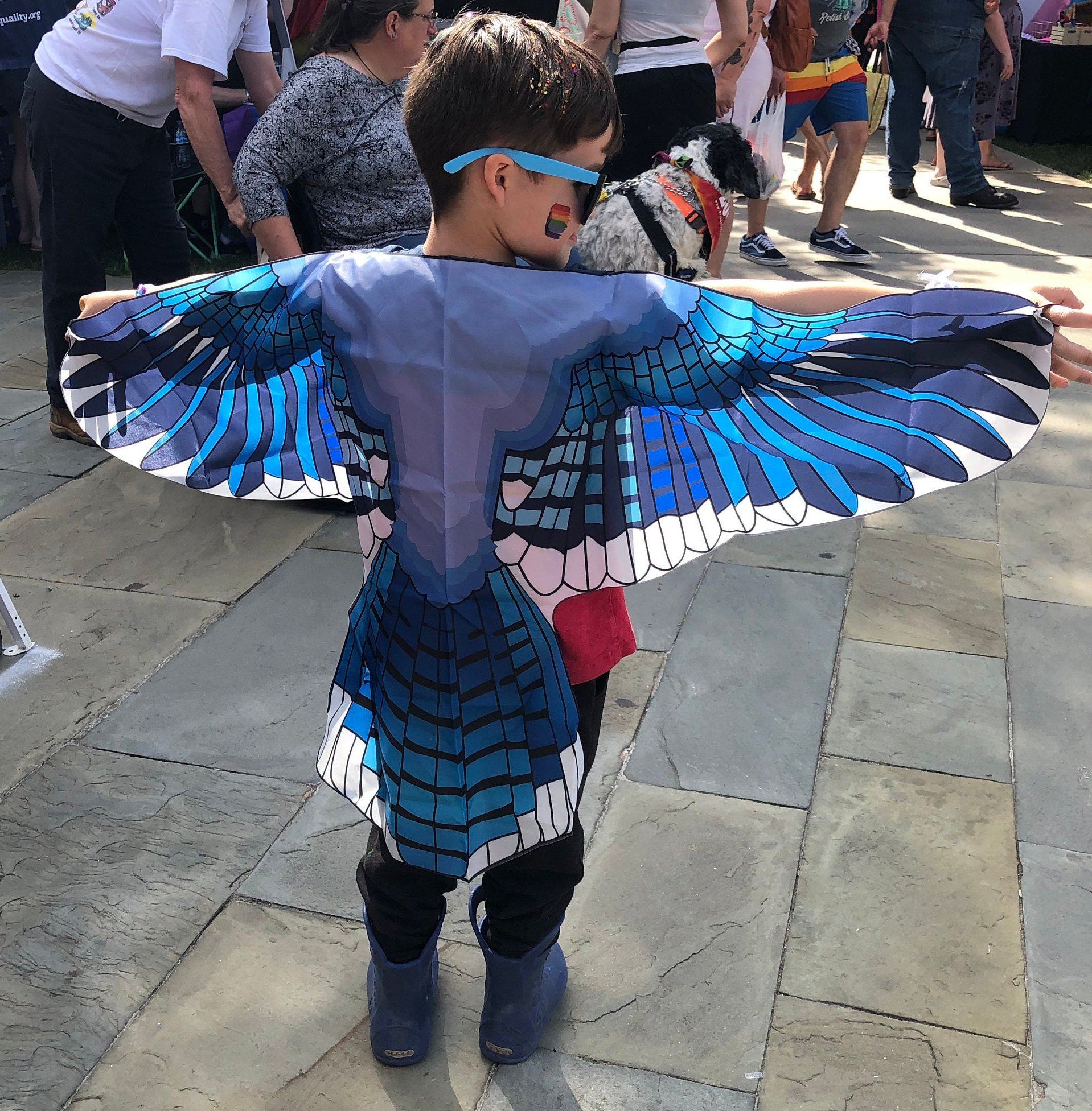Fly Wings Costume -  UK