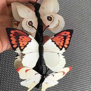 May include: Three butterfly hair clips with black bands. The top butterfly is white with brown markings. The middle butterfly is white with black and orange markings. The bottom butterfly is white with yellow markings.