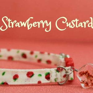 Red Strawberry & Cream Custard Dog/Cat/Kitten Breakaway Collar, Fruit Berry Food Cat/Dog Collar, Cute Summer Garden Cat/Kitten/Dog Collar