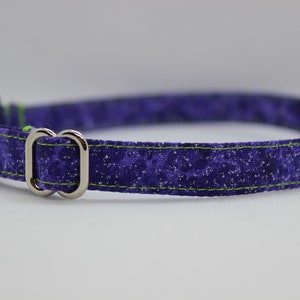May include: A purple and green dog collar with a silver buckle. The collar has a sparkly, speckled pattern.