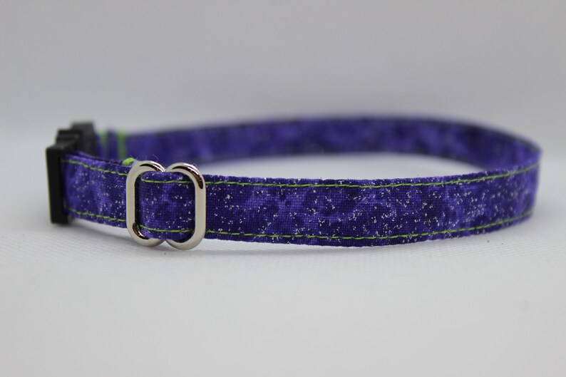 May include: A purple and green dog collar with a silver buckle. The collar has a sparkly, speckled pattern.