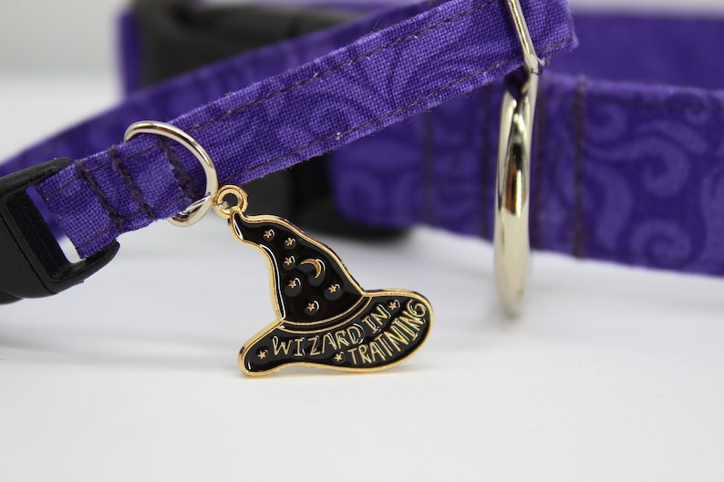 Purple paisley cat and dog  collar with  gold and black witches hat saying Wizard in Training