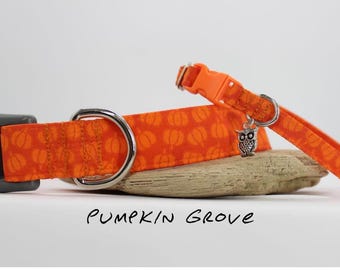Pumpkin Halloween Dog & Cat Collar, Fall Pumpkin Dog/Cat Collar Orange Autumn Dog/Cat Collar  Pumpkin Kitten Saftey Collar Cat Breakaway