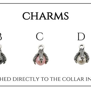 May include: Five different charms for a dog collar. The charms are in the shape of a crescent moon, a paw print, and three different colored pearls. The charms are labeled A, B, C, D, and E. The text "CHARMS ARE ATTACHED DIRECTLY TO THE COLLAR IN PLACE OF THE BELL." is below the charms.