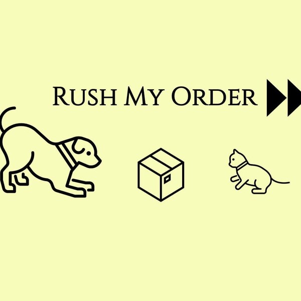 Rush My Order Upgrade Expedite My Order Add-On Fast Production Time For Doodles N Purrs Collars