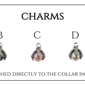 May include: Five different charms for a pet collar. The charms are silver with a small pearl or gemstone in the center. The charms are labeled A through E. Charm A is a crescent moon with black glitter. Charm B is a paw print with a black pearl. Charm C is a paw print with a pink pearl. Charm D is a paw print with a light blue pearl. Charm E is a paw print with a dark blue pearl. The text "CHARMS ARE ATTACHED DIRECTLY TO THE COLLAR IN PLACE OF THE BELL." is below the charms.